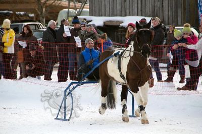 20170212_ja5_041.jpg