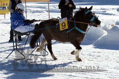 20170219_r03_033.jpg