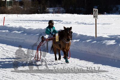 20170219_r03_043.jpg