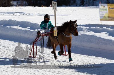 20170219_r03_045.jpg