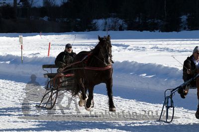 20170219_r06_039.jpg