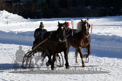 20170219_r06_041.jpg