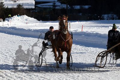 20170219_r06_043.jpg