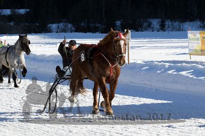 20170219_r06_059.jpg