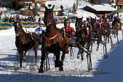 20170219_r07_046.jpg