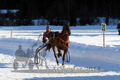 20170219_r07_075.jpg
