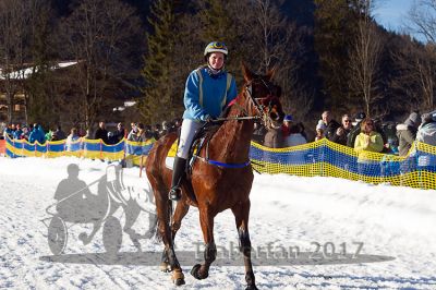 20170219_r08_099.jpg