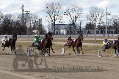 20170305_r02_048.jpg