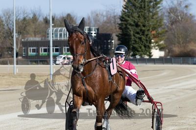 20170305_r03_052.jpg