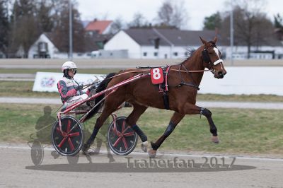 20170319_r08_021.jpg