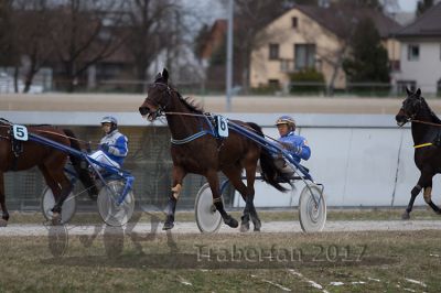20170319_r11_053.jpg