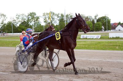 20170514_r06_006.jpg