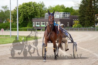 20170514_r07_080.jpg