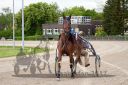 20170514_r07_080.jpg