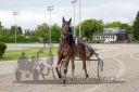 20170514_r07_081.jpg
