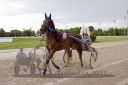 20170514_r07_083.jpg