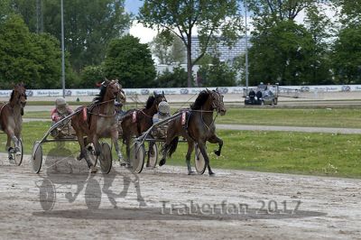 20170514_r08_074.jpg