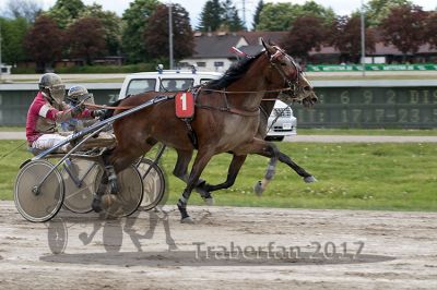 20170514_r08_089.jpg