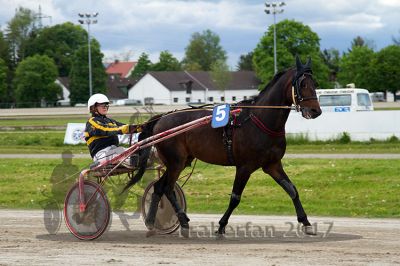 20170514_r09_005.jpg