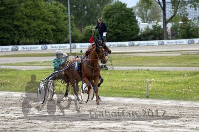 20170514_r09_055.jpg