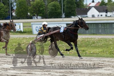 20170514_r09_081.jpg