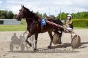 20170514_r09_114.jpg