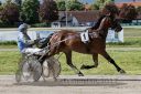 Dateiname=20170514_r10_035.jpg
Dateigröße=153KB
Abmessungen: 750x500
hinzugefügt am: 16. Mai 2017 20170514_r10_035.jpg
