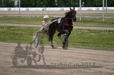20170514_r11_050.jpg