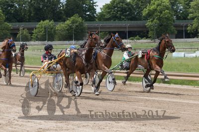 20170521_r03_068.jpg