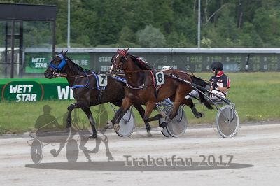 20170525_r11_060.jpg