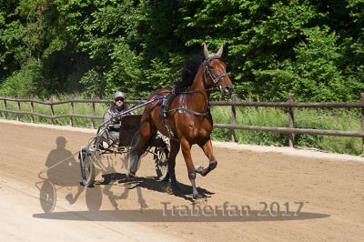 20170526_nim2_110.jpg