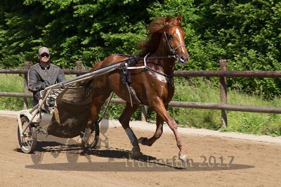 20170526_nim2_117.jpg