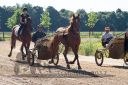 Dateiname=20170526_nim2_007.jpg
Dateigröße=180KB
Abmessungen: 750x500
hinzugefügt am: 27. Mai 2017 20170526_nim2_007.jpg