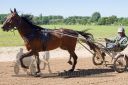 Dateiname=20170526_nim2_024.jpg
Dateigröße=148KB
Abmessungen: 750x500
hinzugefügt am: 27. Mai 2017 20170526_nim2_024.jpg
