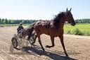 Dateiname=20170526_nim2_089.jpg
Dateigröße=143KB
Abmessungen: 750x500
hinzugefügt am: 27. Mai 2017 20170526_nim2_089.jpg