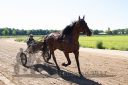 Dateiname=20170526_nim2_097.jpg
Dateigröße=135KB
Abmessungen: 750x500
hinzugefügt am: 27. Mai 2017 20170526_nim2_097.jpg