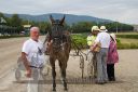 Dateiname=20170709_r04_083_R04_0049.jpg
Dateigröße=138KB
Abmessungen: 750x500
hinzugefügt am: 11. Juli 2017 20170709_r04_083_R04_0049.jpg