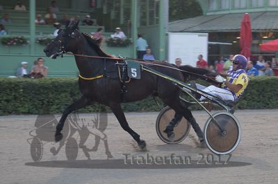 20170709_r11a_123_R11_0009.jpg