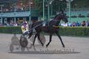 20170709_r11a_101_R11_0037.jpg