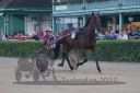 20170709_r11a_103_R11_0043.jpg