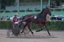 20170709_r11a_104_R11_0048.jpg