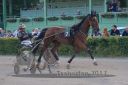 20170709_r11a_106_R11_0054.jpg