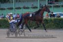 20170709_r11a_115_R11_0091.jpg