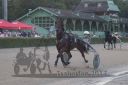 20170709_r11a_126_R11_0013.jpg