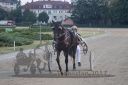 Dateiname=20170709_r11c_001_R11_0544.jpg
Dateigröße=123KB
Abmessungen: 750x500
hinzugefügt am: 11. Juli 2017 20170709_r11c_001_R11_0544.jpg