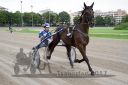 Dateiname=20170802_r02_008_R02_0021.jpg
Dateigröße=113KB
Abmessungen: 750x500
hinzugefügt am: 10. August 2017 20170802_r02_008_R02_0021.jpg