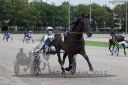 Dateiname=20170805_r09_030_R09_0044.jpg
Dateigröße=111KB
Abmessungen: 750x500
hinzugefügt am: 18. August 2017 20170805_r09_030_R09_0044.jpg