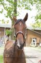 Dateiname=20170805_jae_051_R01_0120.jpg
Dateigröße=94KB
Abmessungen: 500x750
hinzugefügt am: 18. August 2017 20170805_jae_051_R01_0120.jpg