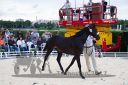 Dateiname=20170805_jae_084_JAE_0063.jpg
Dateigröße=127KB
Abmessungen: 750x500
hinzugefügt am: 18. August 2017 20170805_jae_084_JAE_0063.jpg