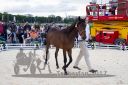 Dateiname=20170805_jae_088_JAE_0070.jpg
Dateigröße=127KB
Abmessungen: 750x500
hinzugefügt am: 18. August 2017 20170805_jae_088_JAE_0070.jpg